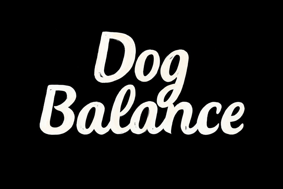 品牌形象設計,產品包裝設計,品牌標志設計,Dog Balance寵物食品