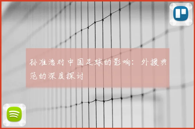 孙准浩对中国足球的影响：外援典范的深度探讨