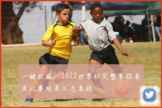 一键收藏！2022世界杯完整赛程表及比赛结果汇总表格