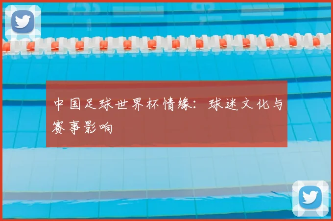 中国足球世界杯情缘：球迷文化与赛事影响