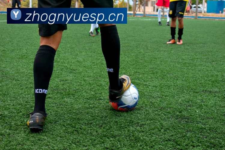 App Interface Preview