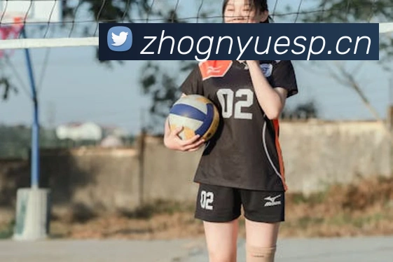 爱游戏官网 首页APP 封面图